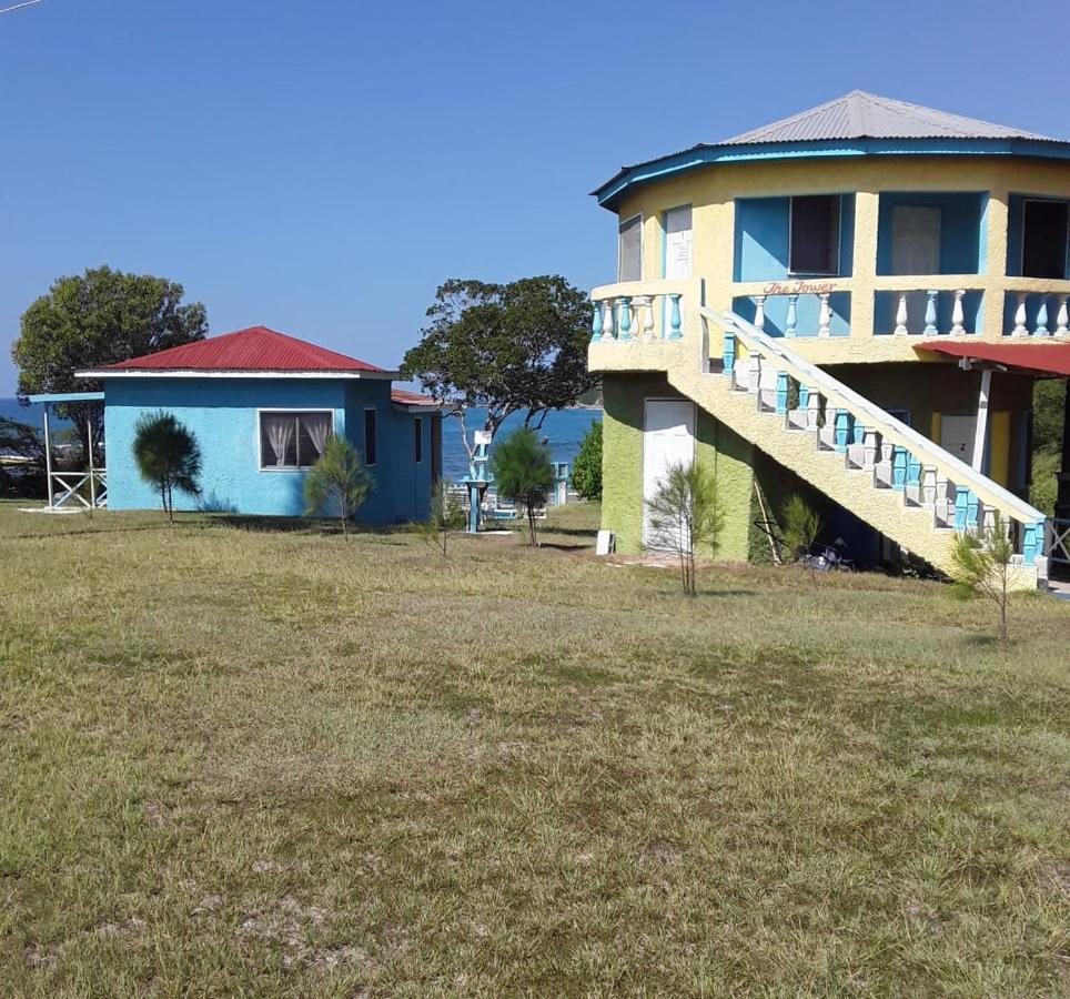 Waikiki Guest House تريجر آيلاند بيتش المظهر الخارجي الصورة