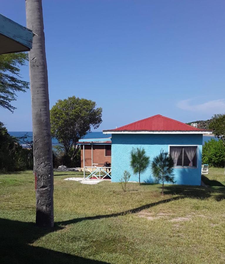 Waikiki Guest House تريجر آيلاند بيتش المظهر الخارجي الصورة