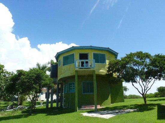 Waikiki Guest House تريجر آيلاند بيتش المظهر الخارجي الصورة