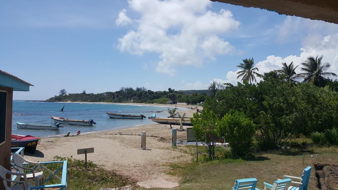 Waikiki Guest House تريجر آيلاند بيتش المظهر الخارجي الصورة