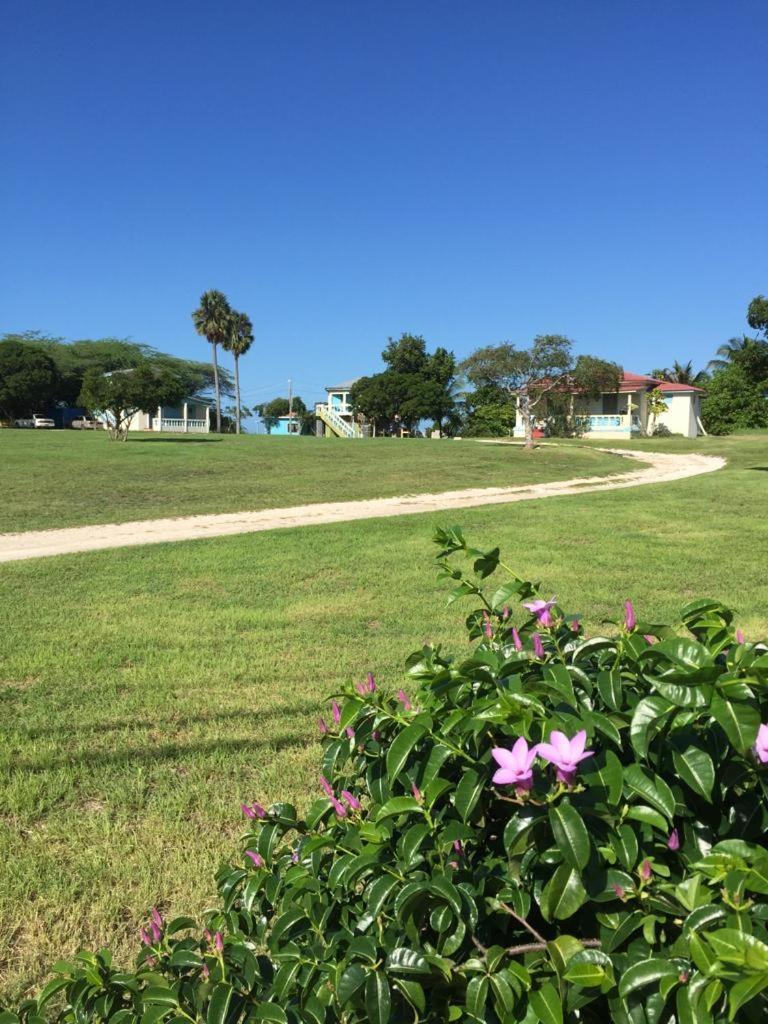 Waikiki Guest House تريجر آيلاند بيتش المظهر الخارجي الصورة